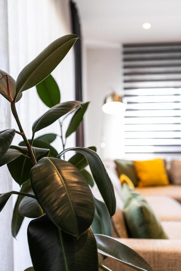 Aegli Central Luxury Apartment Alexandroupolis Buitenkant foto